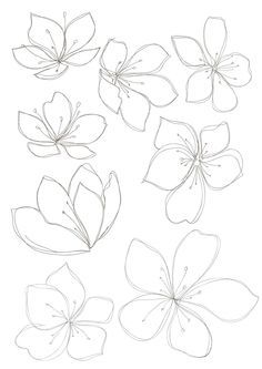 236x333 asian floral line drawing - Floral Line Drawing