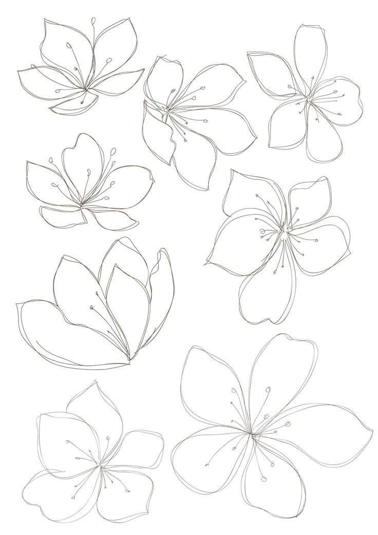 736x1041 Bobbie Print Floral Drawings Tattoo Acuarela - Floral Print Drawing