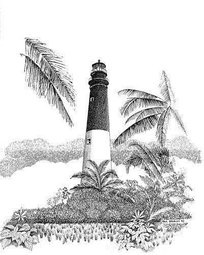 401x500 Florida Lighthouse Association, Inc - Florida Drawing