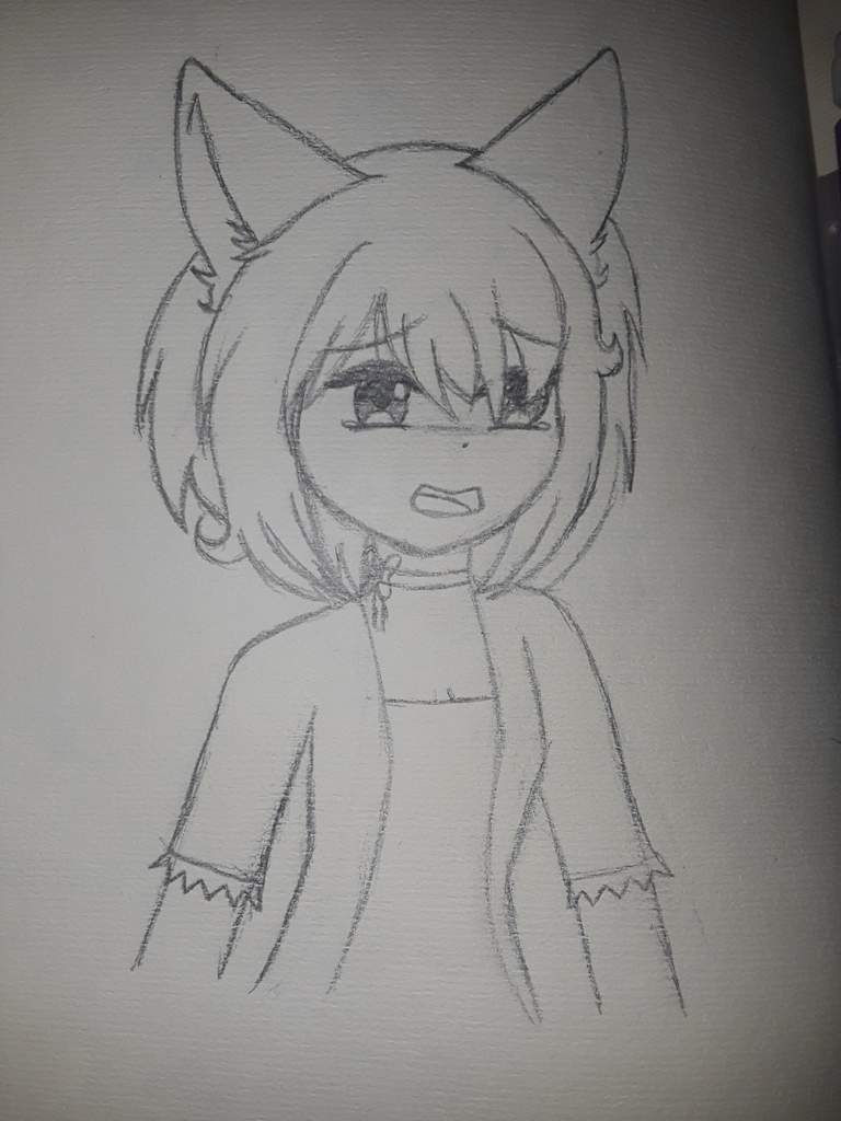 768x1024 Florida Drawing Wolfychu Official Amino - Florida Drawing