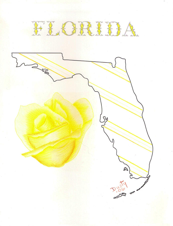 692x900 State Of Florida Drawing - Florida Drawing