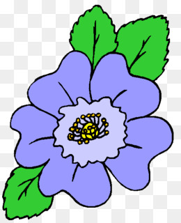 260x320 Drawing Image Flower Watercolor Painting Sketch - Florida Drawing