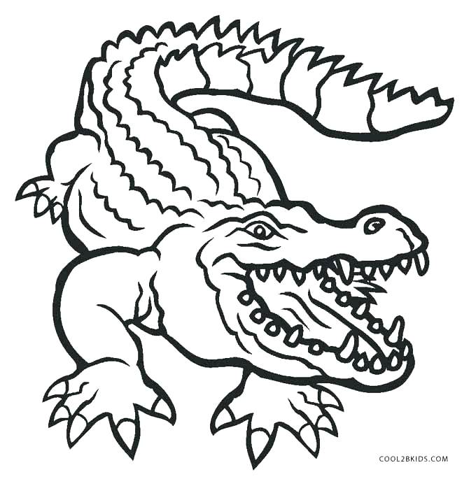 670x685 download florida gator coloring pages free getwallpapers us - Florida Gators Drawing