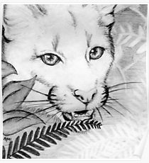 210x230 Florida Panther Drawing Posters Redbubble - Florida Panther Drawing