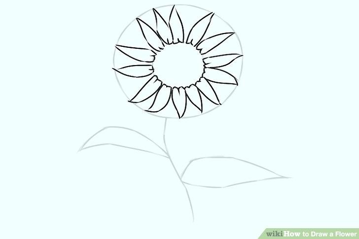 728x485 line flower image titled draw a step straight arrangement - Flower Arrangement Drawing