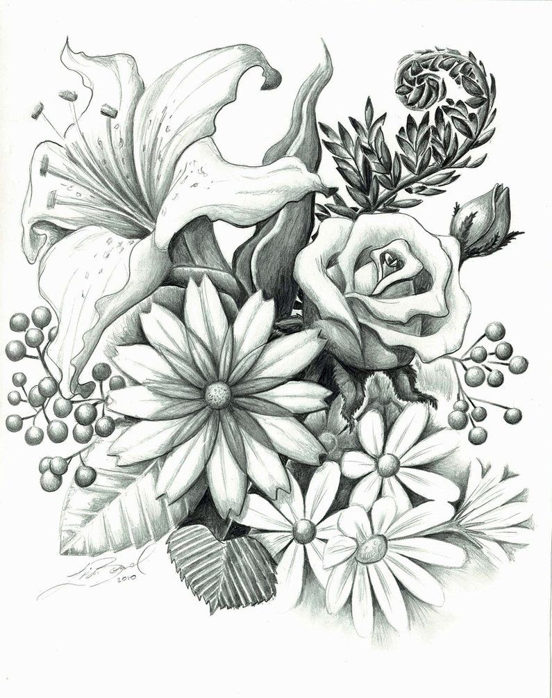 Flower Arrangement Drawing at Explore collection