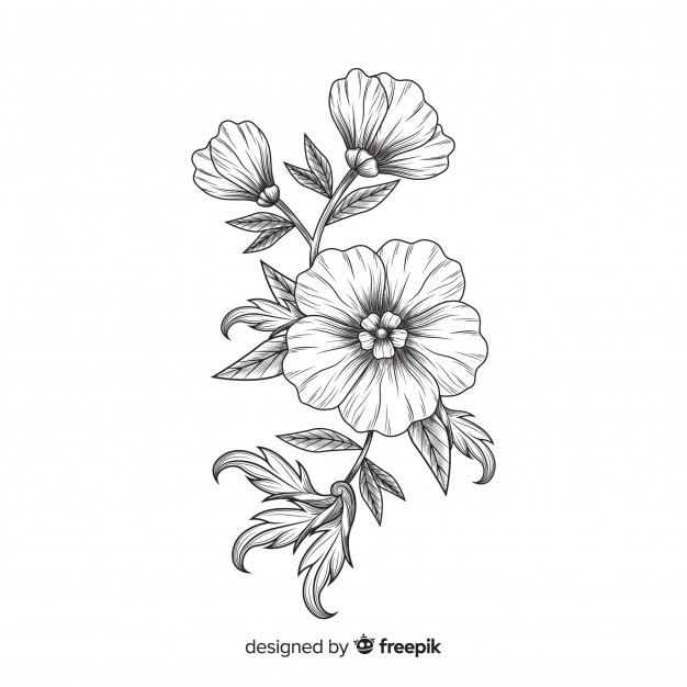 626x626 handdrawn flower vectors, photos and free download - Flower Art Drawing