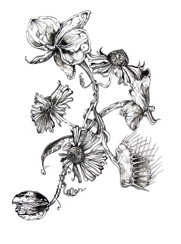 600x810 Beautiful Flower Drawings Art And Design - Flower Art Drawing