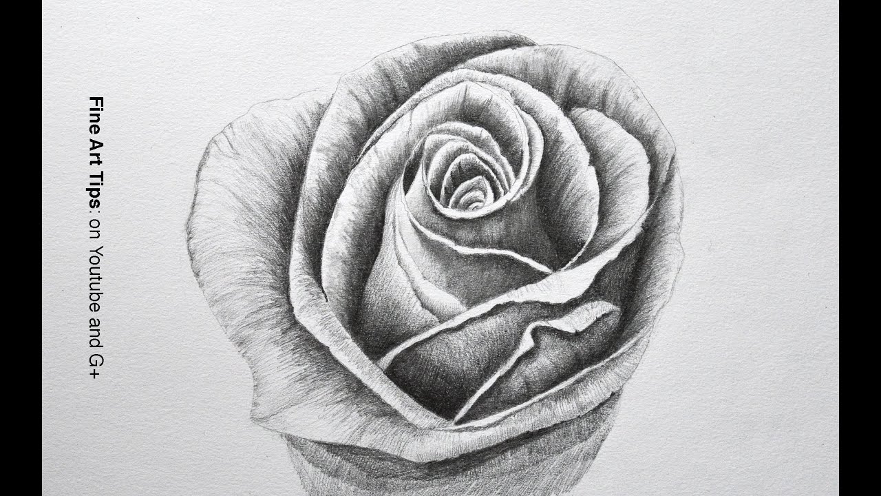 1280x720 Drawing Flowers How To Draw A Rose With Pencil - Flower Art Drawing