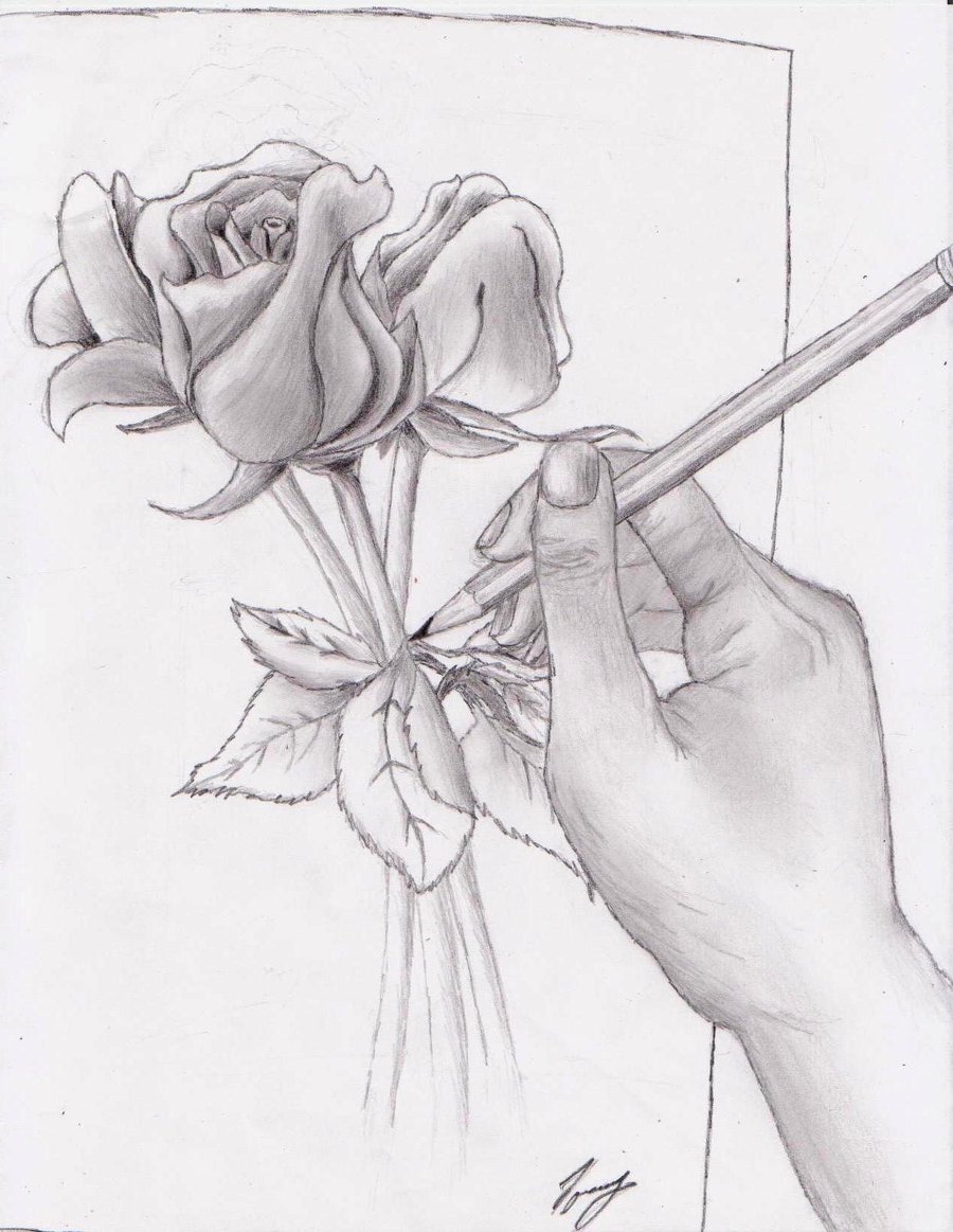 Flower Art Drawings