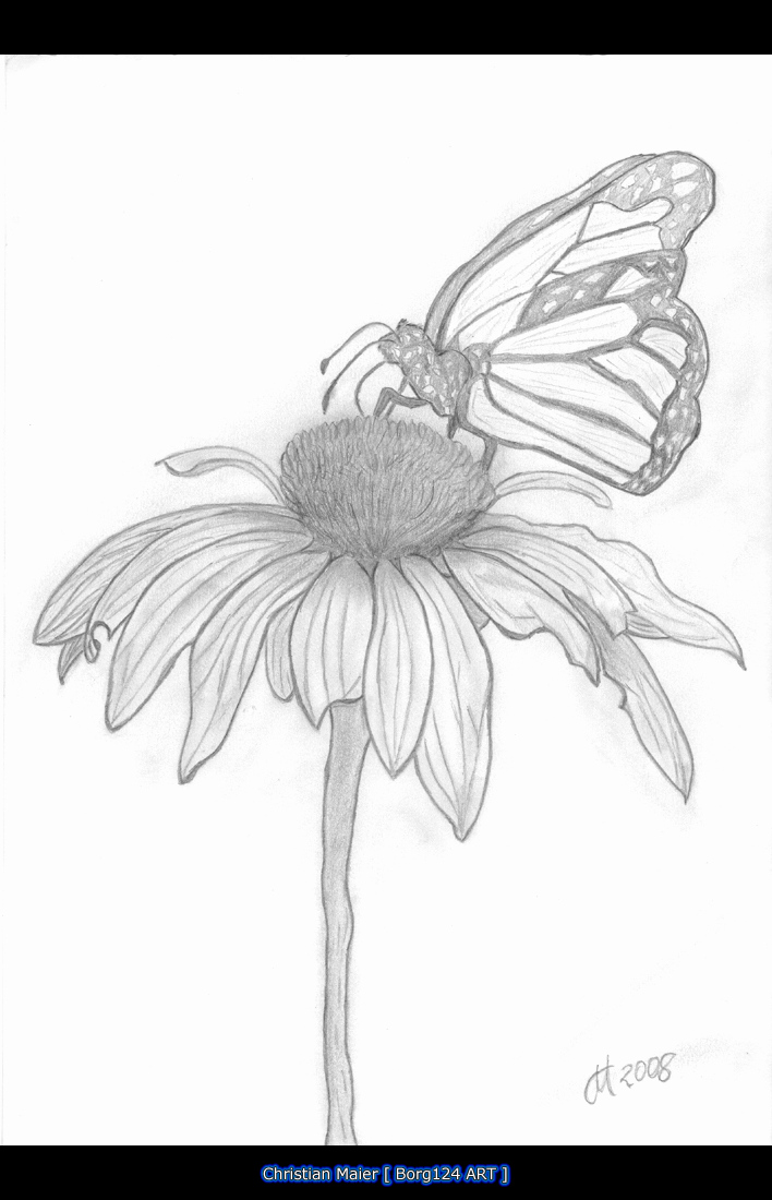 708x1100 Pencil Drawings Flowers Art Makeover Pencil Drawings Flowers Art - Flower Art Drawings