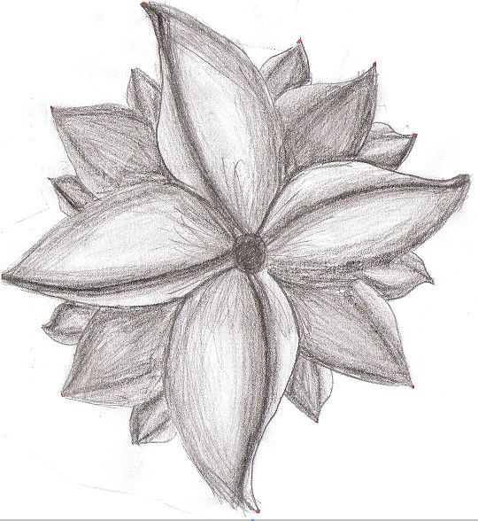540x588 Art Pencil Drawings Of Flowers Creative Commons Attribution No - Flower Art Drawings