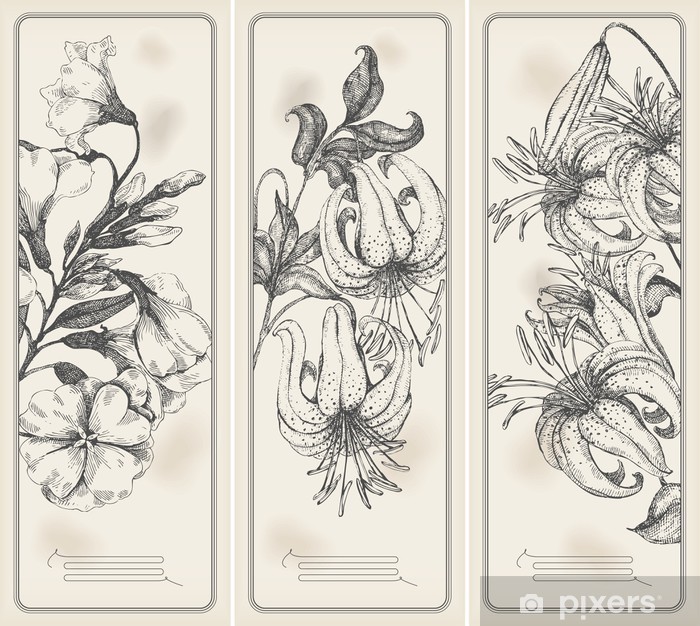 700x626 retro flower banners - Flower Banner Drawing