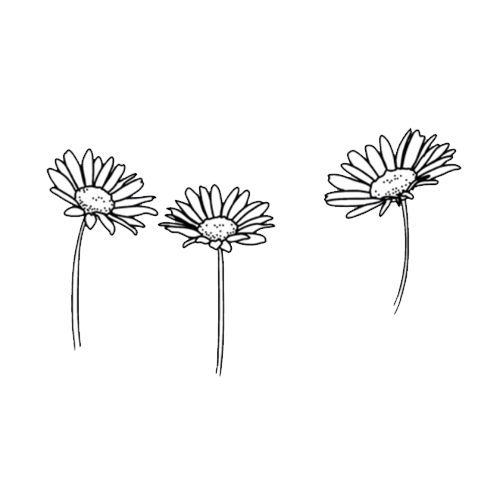 500x500 tumbler drawing flower transparent png clipart free download - Flower Banner Drawing