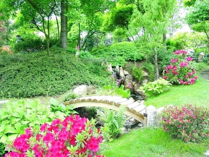 728x546 flower bed ideas for small spaces gardens garden drawing - Flower Bed Drawing