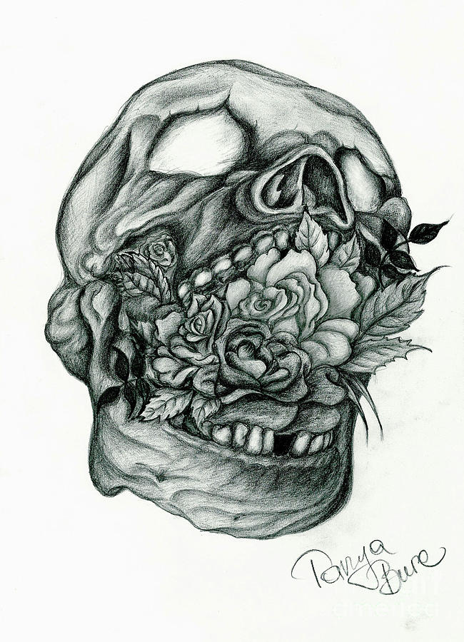 650x900 Flowerbed Drawing - Flower Bed Drawing