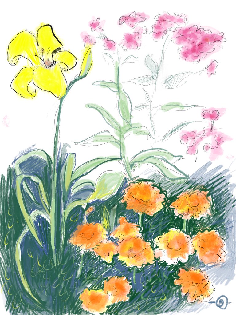 Flower Bed Drawing at Explore collection of Flower