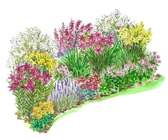 Flower Bed Drawing at PaintingValley.com | Explore collection of Flower ...