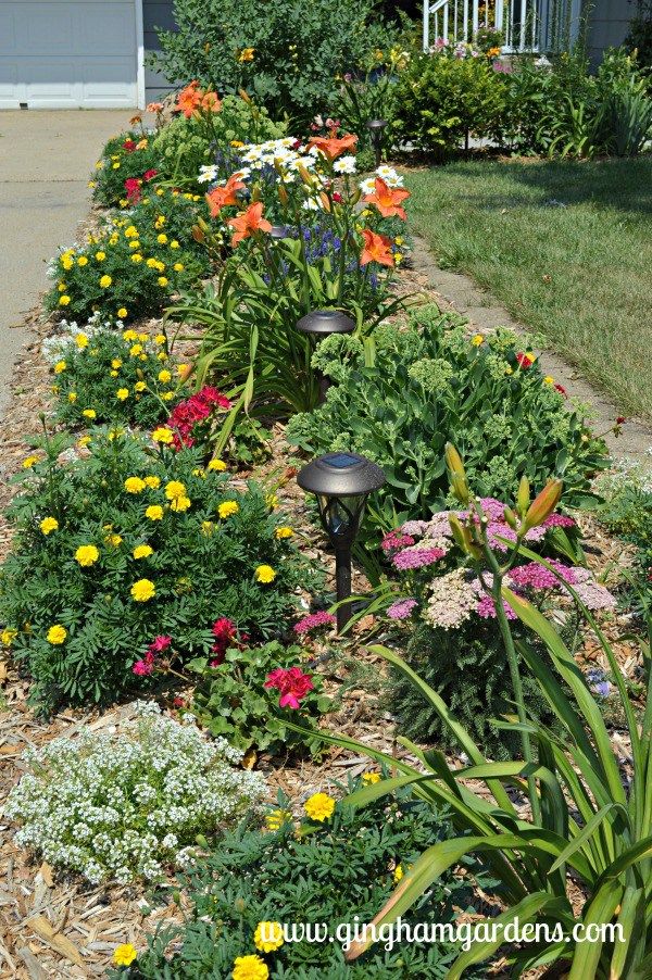 600x902 July Flower Garden Tour The Best Of Gingham Gardens - Flower Bed Drawing