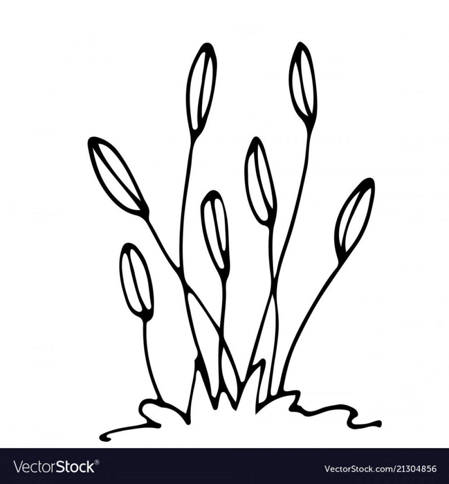 1440x1552 Sketch Flowerbed Free Hand Drawing Vector Soidergi - Flower Bed Drawing