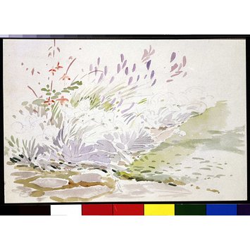 355x355 Sketch Of A Flower Bed In The Garden - Flower Bed Drawing