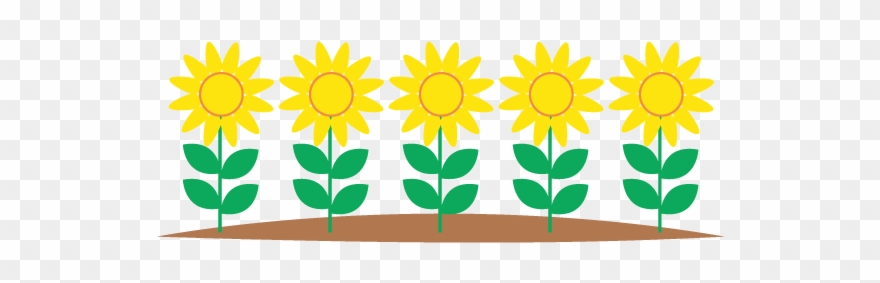 880x283 Tulip Flower Bed - Flower Bed Drawing