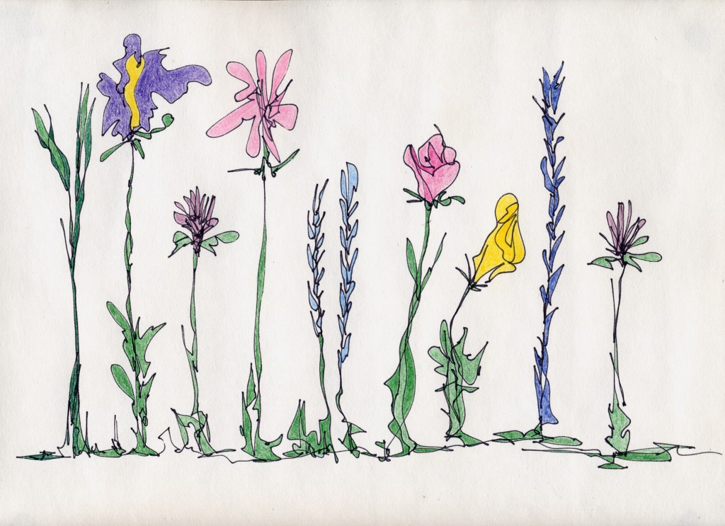 1024x743 Drawing Jennifer Howd - Flower Bed Drawing