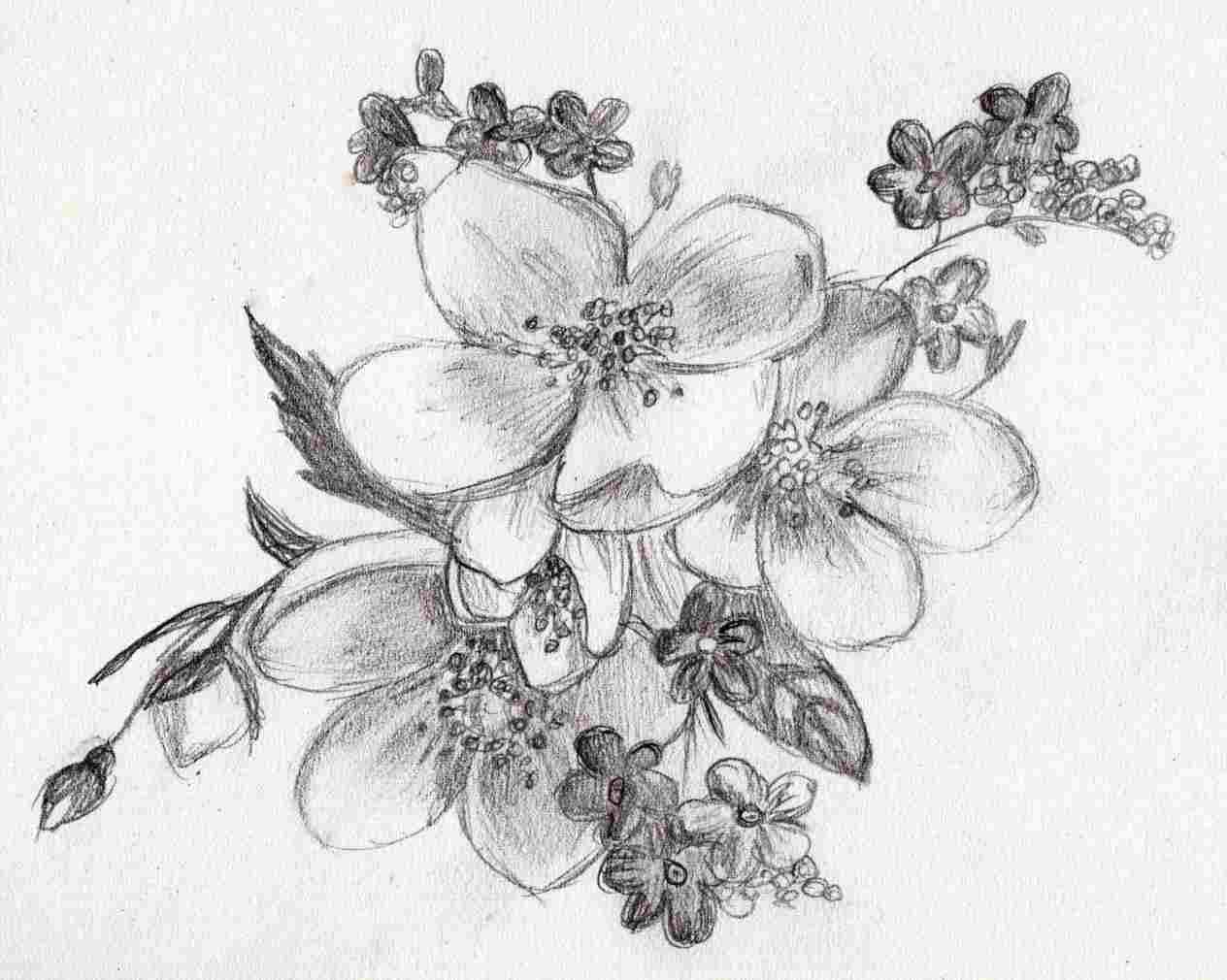 1264x1010 sketch drawing of flowers sketch of flower bouquet flowers drawing - Flower Bouquet Drawing