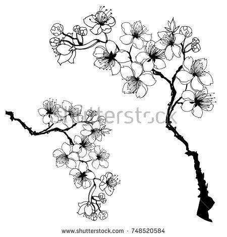 450x470 Hand Drawn And Outline Cherry Branches With Flowers, Sakura Vector - Flower Branch Drawing