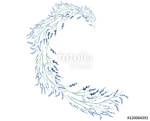 500x402 watercolor greeting card, frame, invitation drawing - Flower Branch Drawing