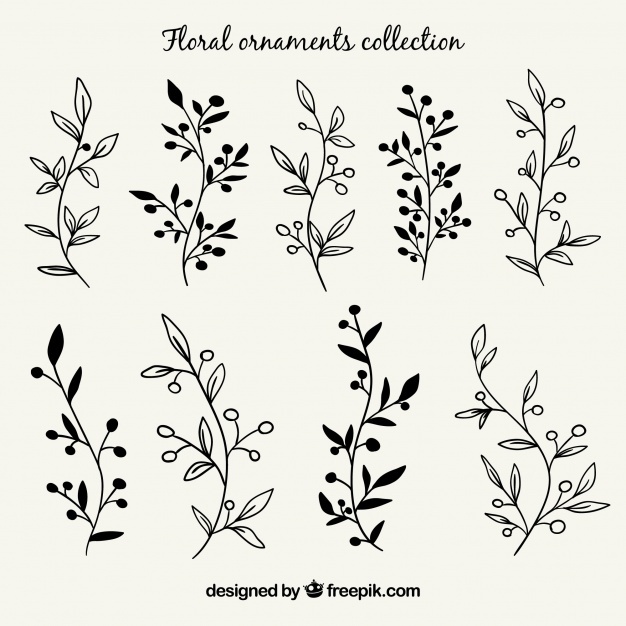 626x626 Branch Vectors, Photos And Free Download - Flower Branch Drawing