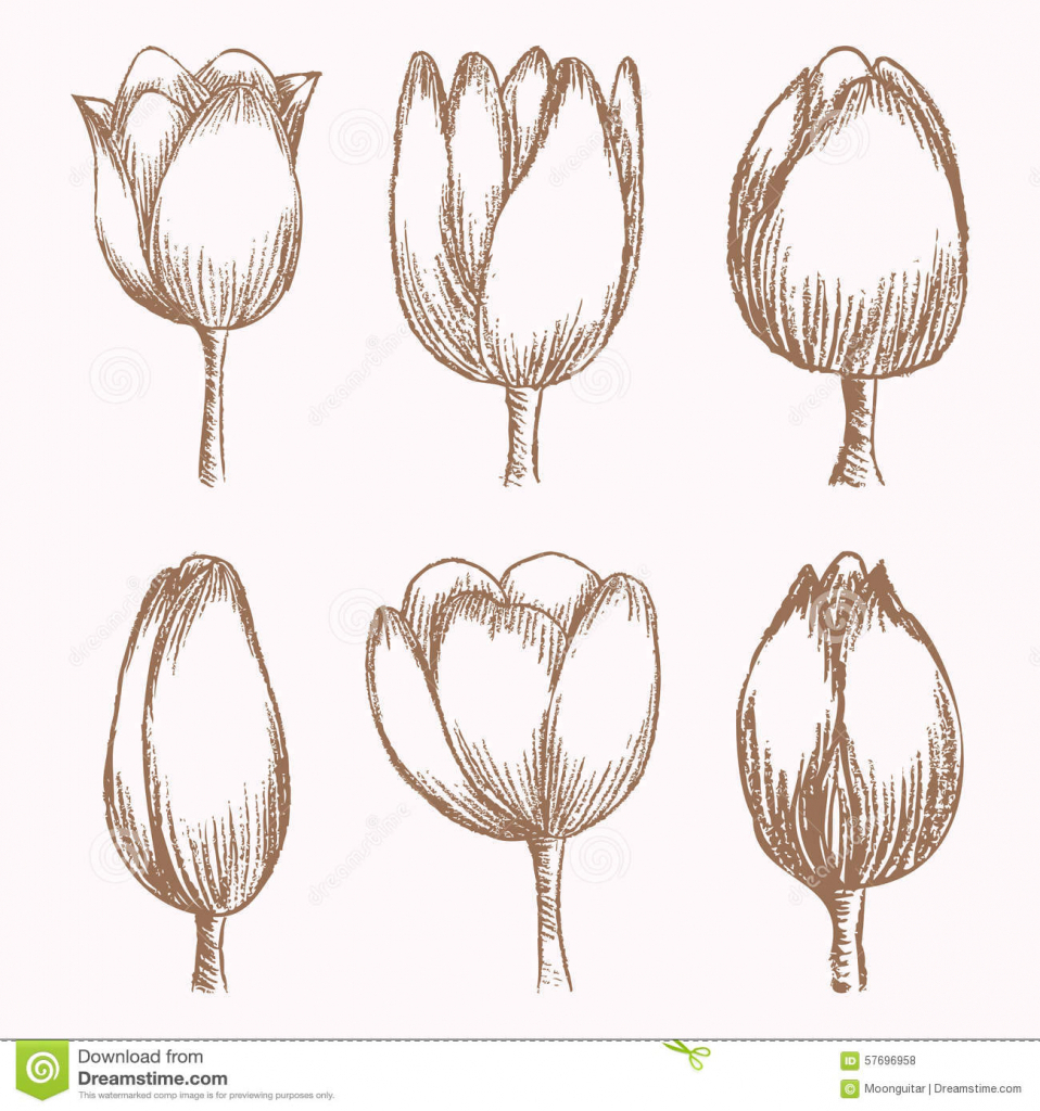 958x1024 flower buds drawing and flower buds drawing flower bud drawing - Flower Bud Drawing