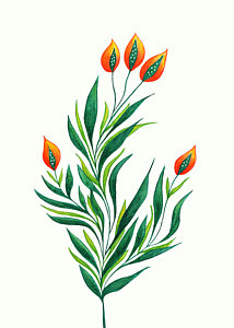 214x300 flower buds drawings fine art america - Flower Bud Drawing