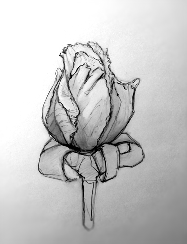 612x798 March - Flower Bud Drawing