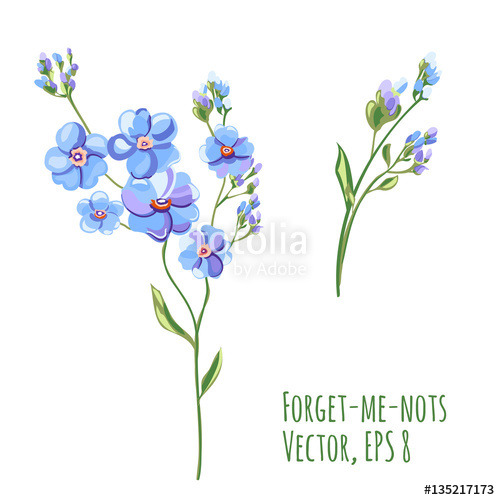 500x500 set of blue flowers and buds, forget me not, stem and leaves - Flower Bud Drawing