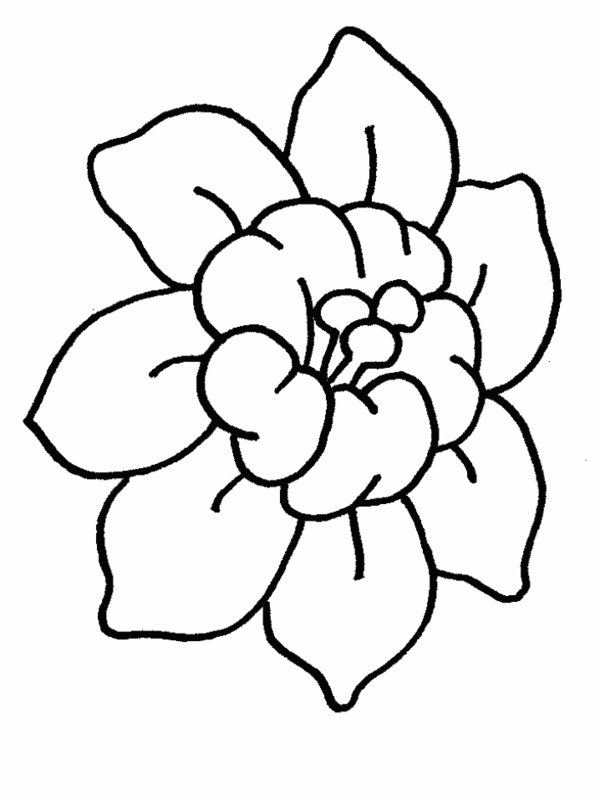 600x800 Drawn Flower Cartoon - Flower Cartoon Drawing