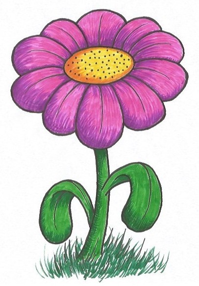 Flower Cartoon Drawing at PaintingValley.com | Explore collection of