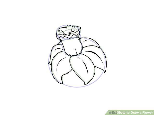 640x480 Easy Ways To Draw A Flower - Flower Cartoon Drawing