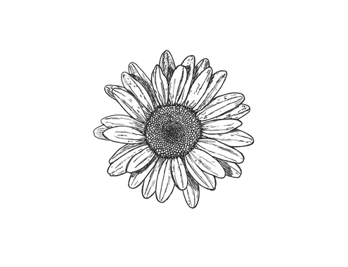 495x380 Collection Of Free Chain Drawing Flower Download On Ui Ex - Flower Chain Drawing