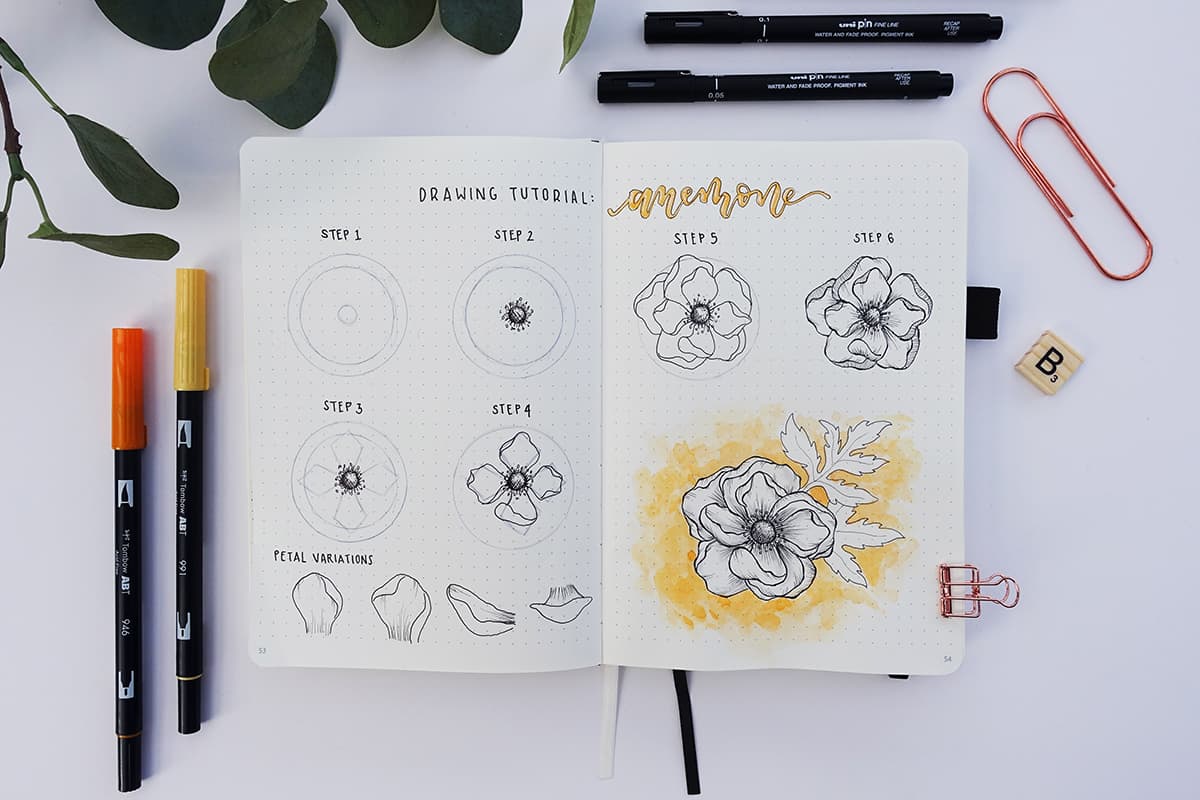 1200x800 Flower Drawing Tutorial How To Draw An Anemone Flower - Flower Circle Drawing