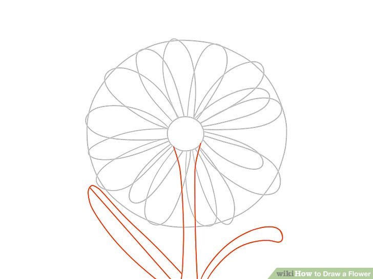 728x546 Easy Ways To Draw A Flower - Flower Circle Drawing