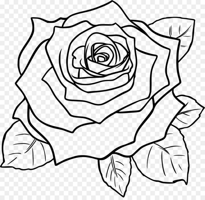 873x853 Black Rose Clip Art Drawing Flower Png Download Free - Flower Clip Art Drawing