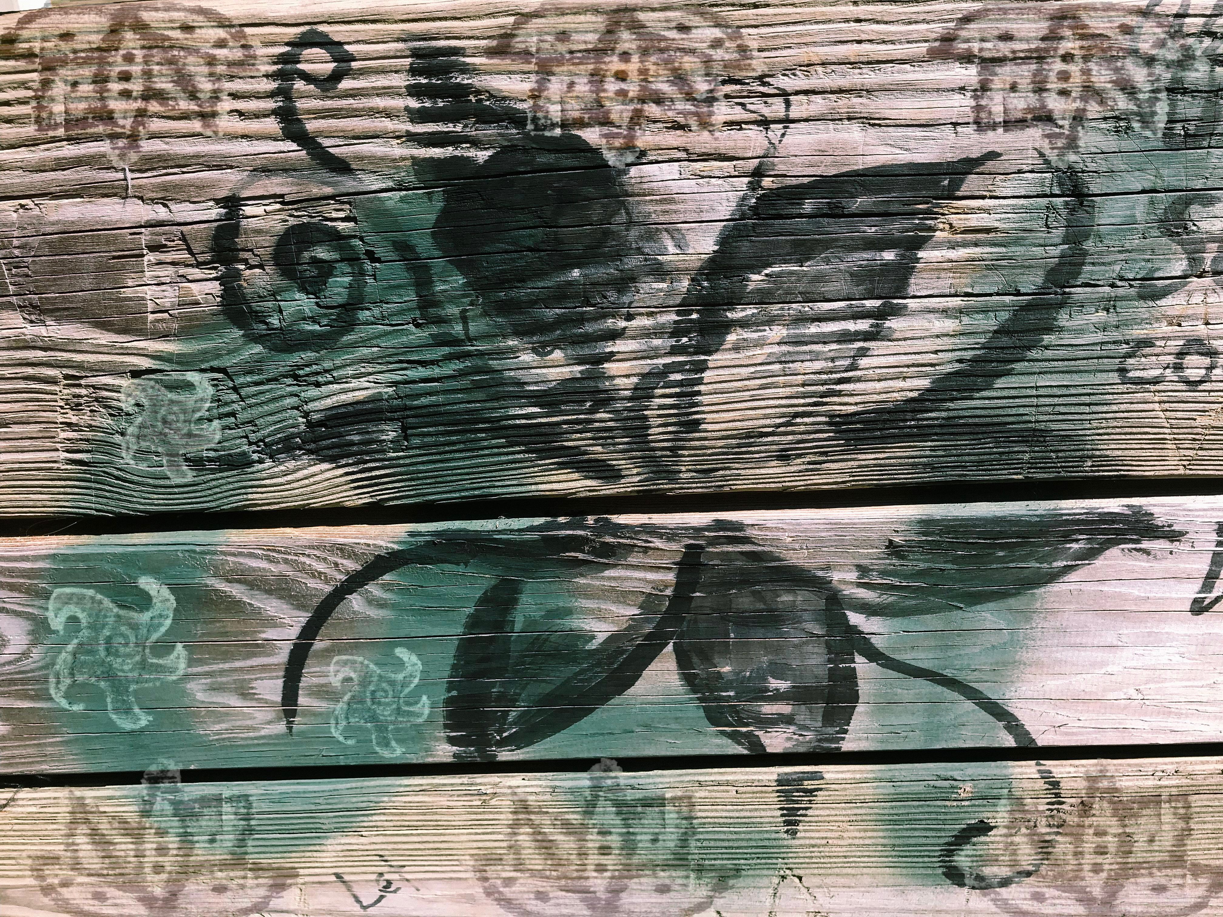 4032x3024 free stock photo of collage, drawing, flower - Flower Collage Drawing