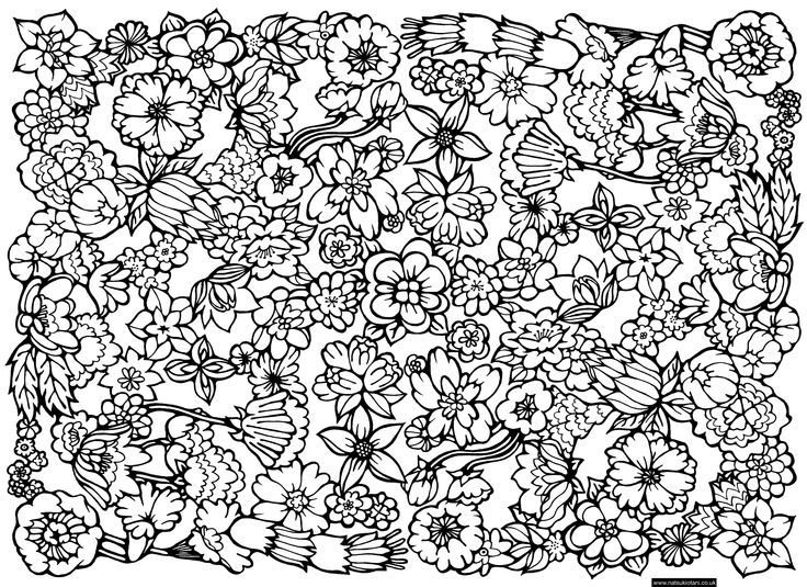 Flower Collage Drawing at PaintingValley.com | Explore collection of ...