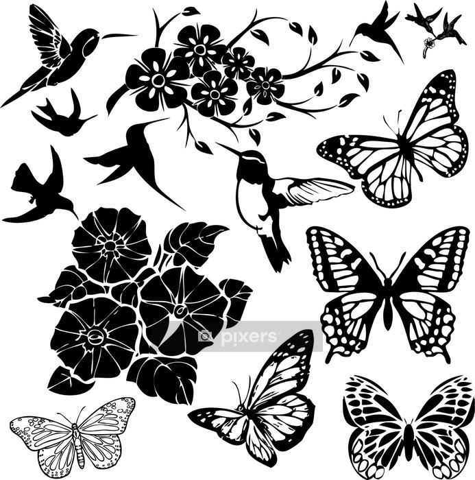 693x700 birds, butterflies and flower collage - Flower Collage Drawing