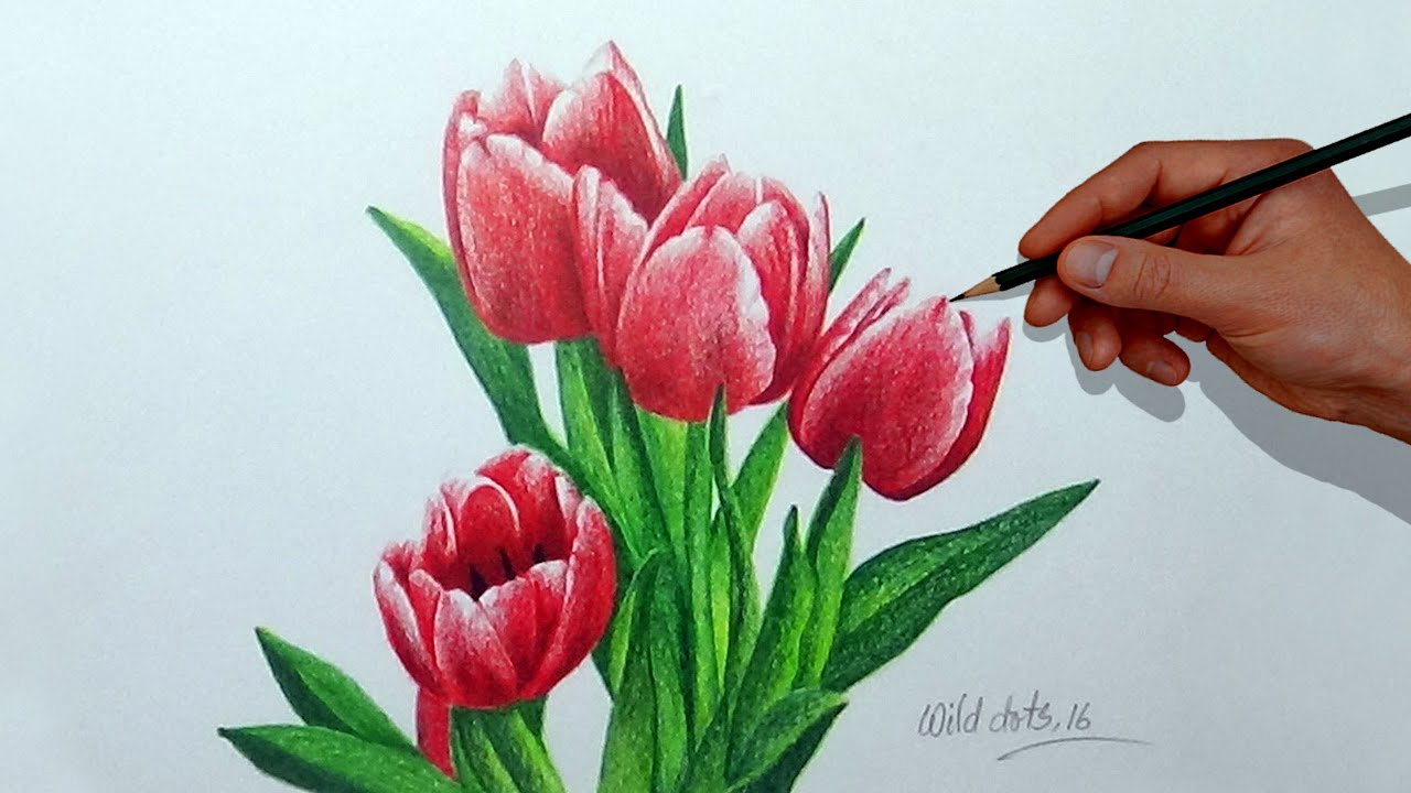 1280x720 How To Draw A Flower With Simple Colored Pencils - Flower Colour Pencil Drawing