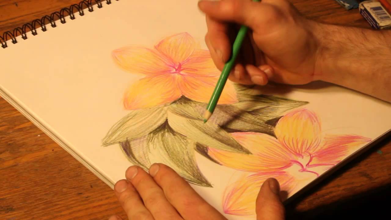 1280x720 How To Draw Flowers With Colored Pencils - Flower Colour Pencil Drawing