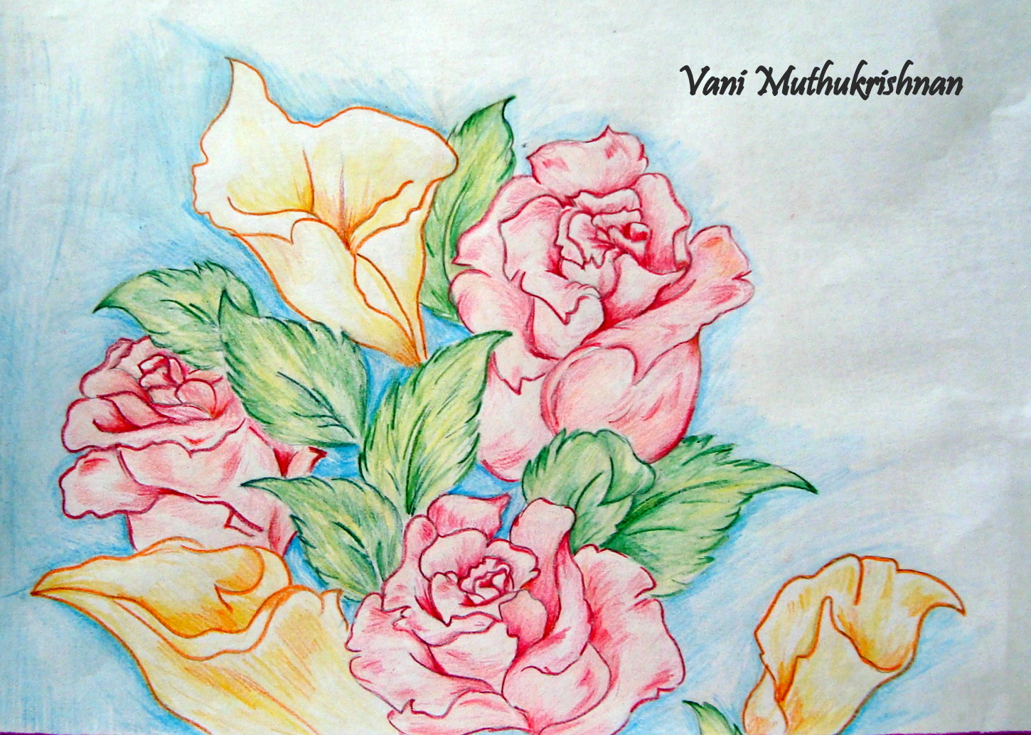 1450x1034 Rose Color Pencil Drawing - Flower Colour Pencil Drawing