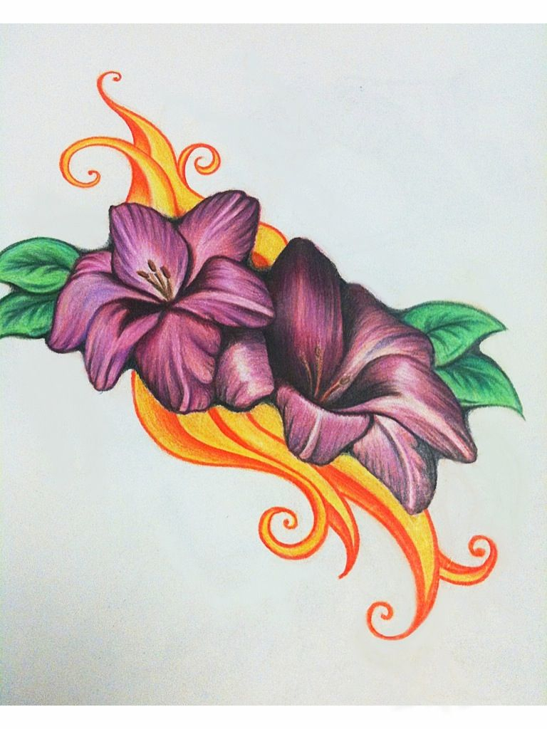 768x1024 Colour Drawings Flowers Easy Colored Pencil Drawings Of Flowers - Flower Colour Pencil Drawing