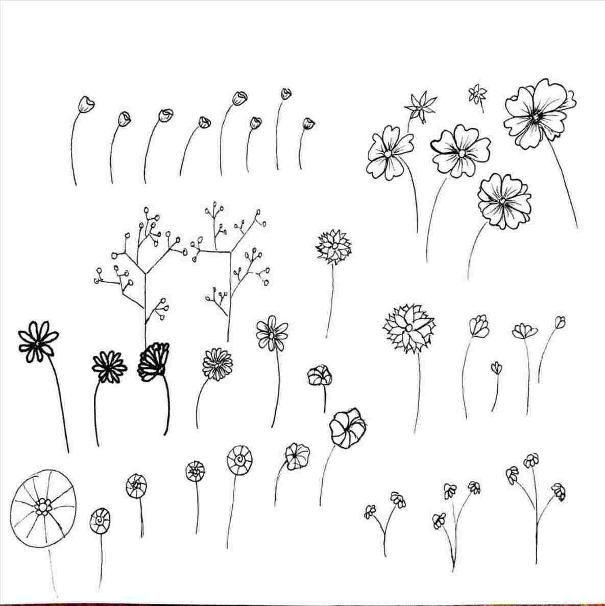 1185x1186 Girl - Flower Crown Drawing